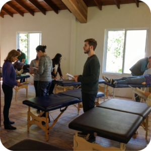 Curso de Kinesiologia