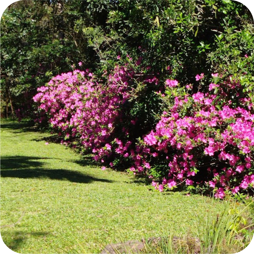 recanto cielo jardim1